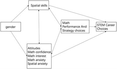 Gender differences in elementary school students’ fraction learning: roles of spatial ability and mathematical anxiety